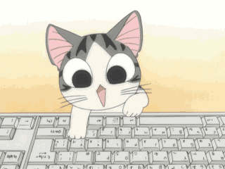 Cat playing keyboard