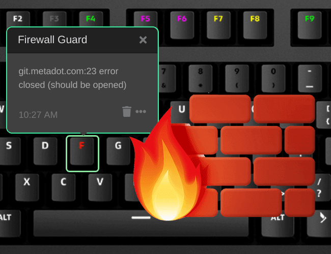 Firewall Guard illustration