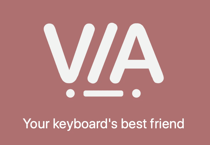 VIA software logo