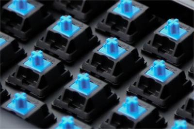 Cherry MX blue switches